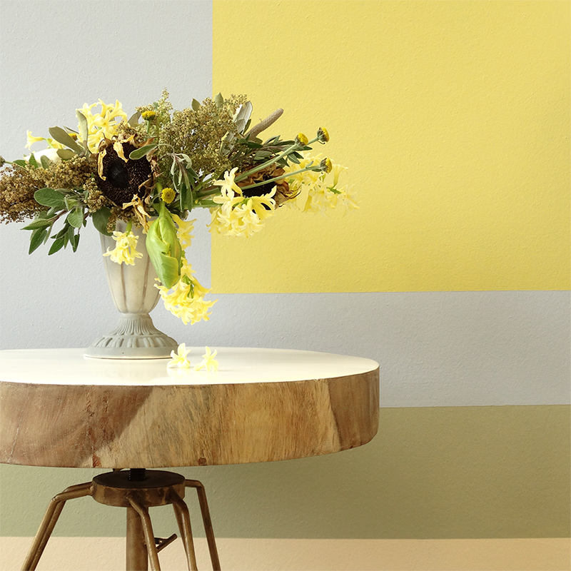 Colorhouse Spring 2018 Color Trends: Featured hues BEESWAX .04, DREAM .03, GLASS .03, CREATE .01